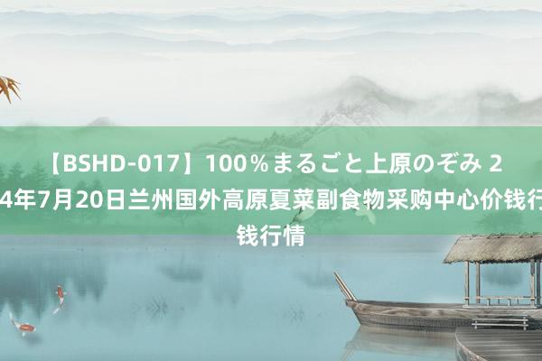 【BSHD-017】100％まるごと上原のぞみ 2024年7月20日兰州国外高原夏菜副食物采购中心价钱行情