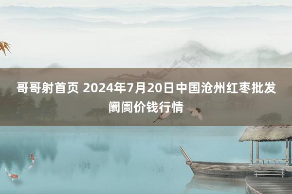 哥哥射首页 2024年7月20日中国沧州红枣批发阛阓价钱行情