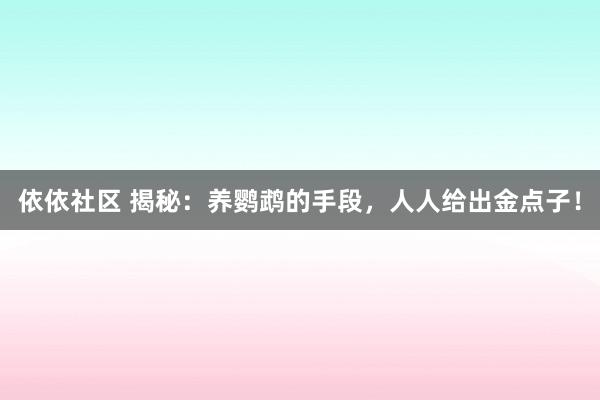 依依社区 揭秘：养鹦鹉的手段，人人给出金点子！