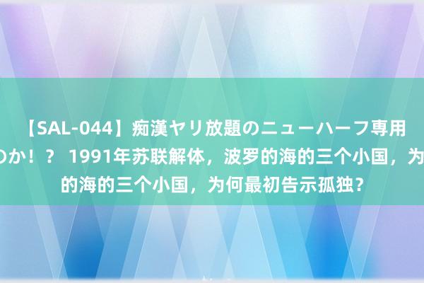 【SAL-044】痴漢ヤリ放題のニューハーフ専用車は本当にあるのか！？ 1991年苏联解体，波罗的海的三个小国，为何最初告示孤独？