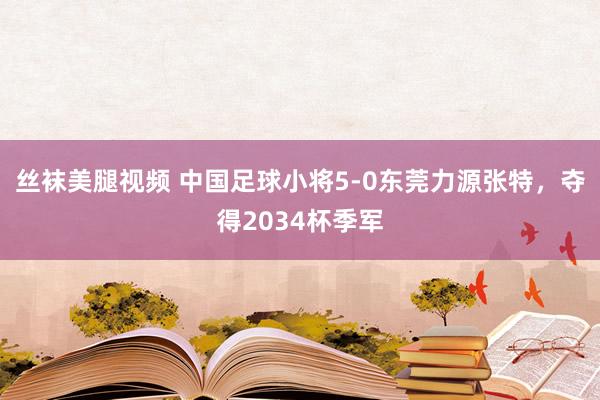 丝袜美腿视频 中国足球小将5-0东莞力源张特，夺得2034杯季军