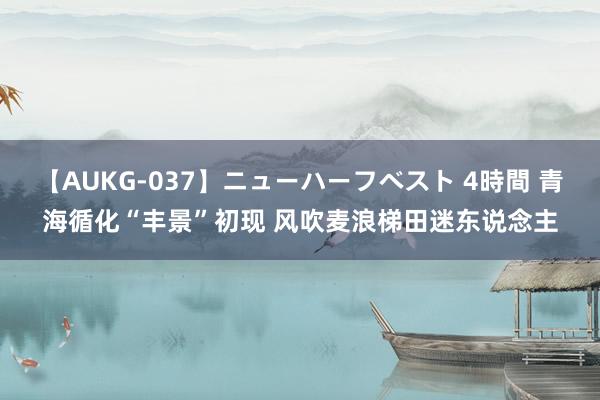 【AUKG-037】ニューハーフベスト 4時間 青海循化“丰景”初现 风吹麦浪梯田迷东说念主