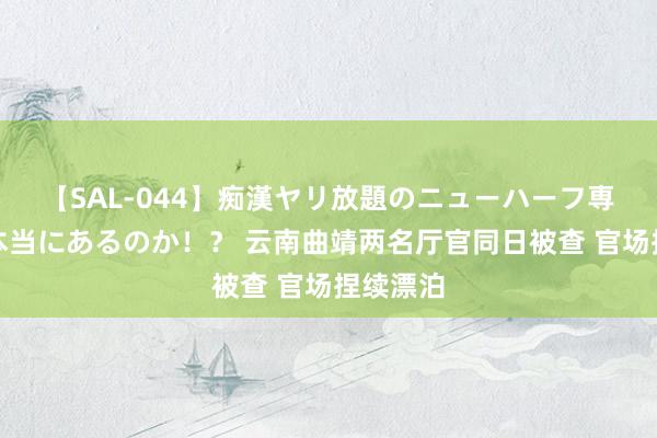 【SAL-044】痴漢ヤリ放題のニューハーフ専用車は本当にあるのか！？ 云南曲靖两名厅官同日被查 官场捏续漂泊