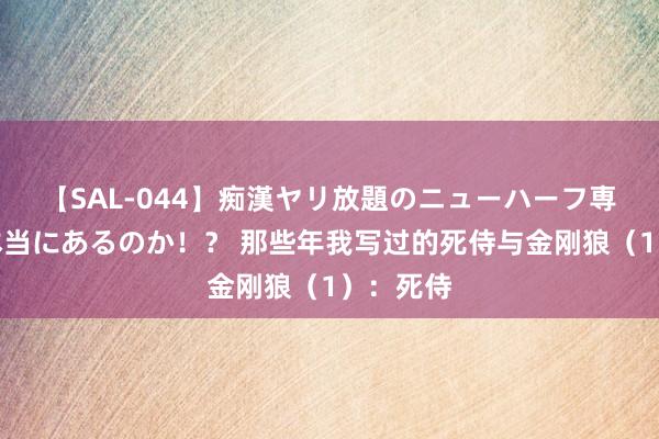 【SAL-044】痴漢ヤリ放題のニューハーフ専用車は本当にあるのか！？ 那些年我写过的死侍与金刚狼（1）：死侍