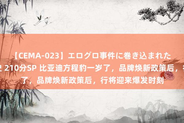 【CEMA-023】エログロ事件に巻き込まれた 人妻たちの昭和史 210分SP 比亚迪方程豹一岁了，品牌焕新政策后，行将迎来爆发时刻