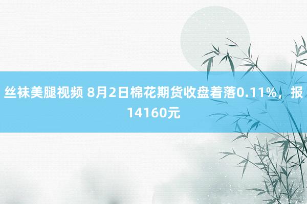 丝袜美腿视频 8月2日棉花期货收盘着落0.11%，报14160元