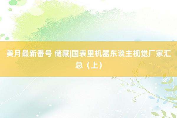 美月最新番号 储藏|国表里机器东谈主视觉厂家汇总（上）