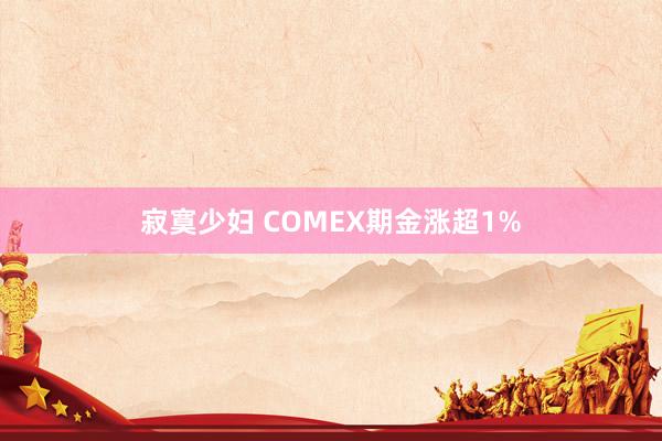 寂寞少妇 COMEX期金涨超1%