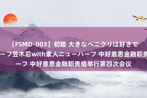 【FSMD-003】初姫 大きなペニクリは好きですか！？ ニューハーフ笠木忍with素人ニューハーフ 中好意思金融职责组举行第四次会议