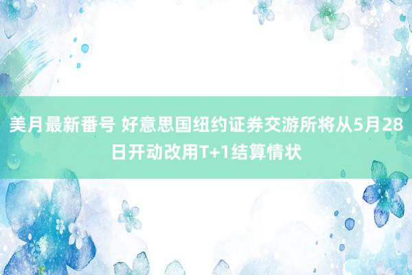 美月最新番号 好意思国纽约证券交游所将从5月28日开动改用T+1结算情状