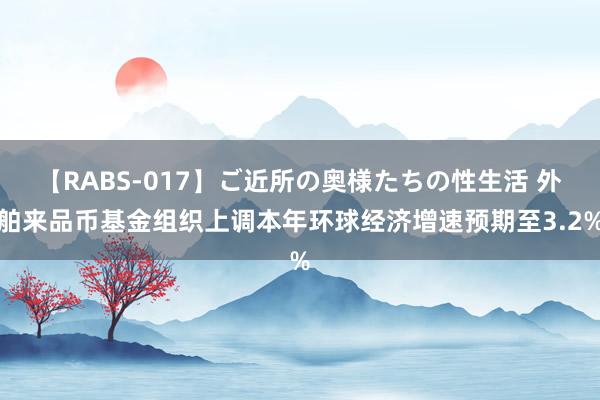 【RABS-017】ご近所の奥様たちの性生活 外舶来品币基金组织上调本年环球经济增速预期至3.2%