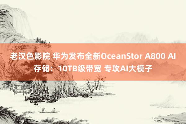 老汉色影院 华为发布全新OceanStor A800 AI存储：10TB级带宽 专攻AI大模子