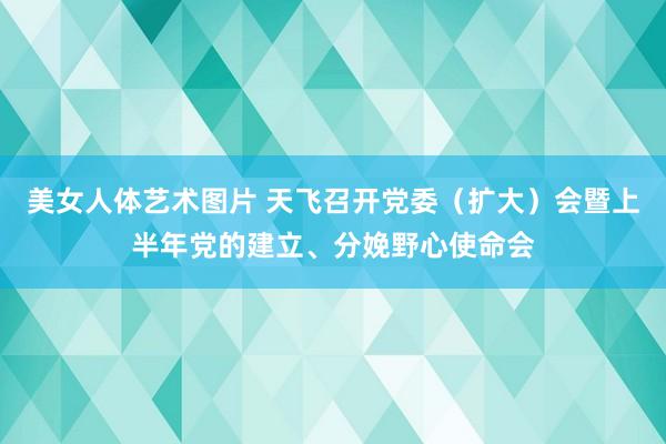 美女人体艺术图片 天飞召开党委（扩大）会暨上半年党的建立、分娩野心使命会