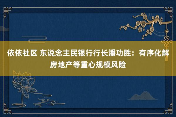 依依社区 东说念主民银行行长潘功胜：有序化解房地产等重心规模风险