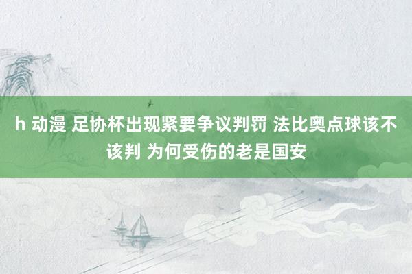 h 动漫 足协杯出现紧要争议判罚 法比奥点球该不该判 为何受伤的老是国安