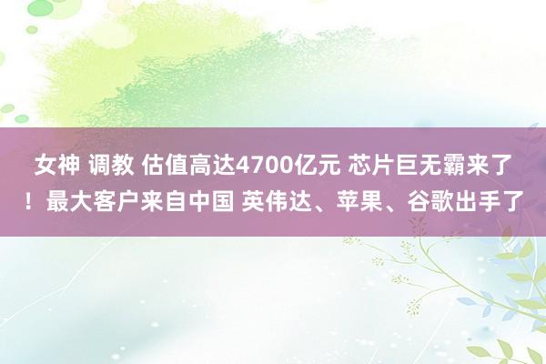 女神 调教 估值高达4700亿元 芯片巨无霸来了！最大客户来自中国 英伟达、苹果、谷歌出手了