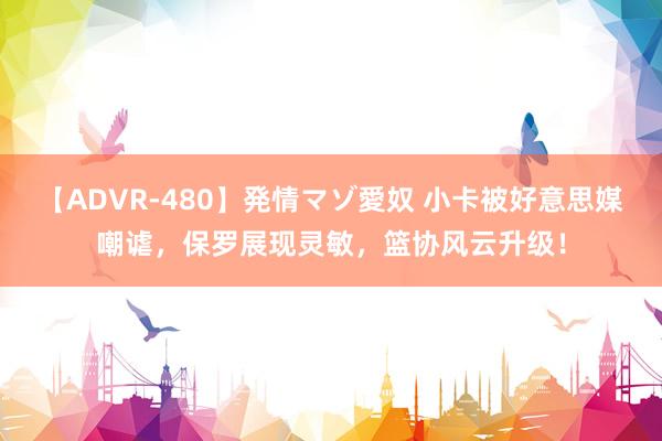 【ADVR-480】発情マゾ愛奴 小卡被好意思媒嘲谑，保罗展现灵敏，篮协风云升级！