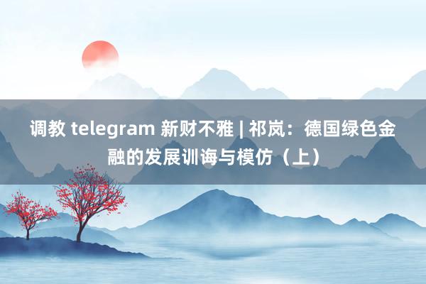 调教 telegram 新财不雅 | 祁岚：德国绿色金融的发展训诲与模仿（上）