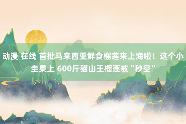 动漫 在线 首批马来西亚鲜食榴莲来上海啦！这个小圭臬上 600斤猫山王榴莲被“秒空”