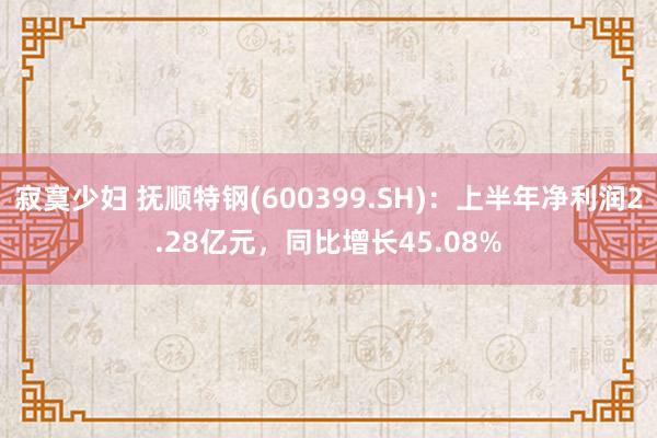 寂寞少妇 抚顺特钢(600399.SH)：上半年净利润2.28亿元，同比增长45.08%