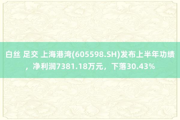 白丝 足交 上海港湾(605598.SH)发布上半年功绩，净利润7381.18万元，下落30.43%