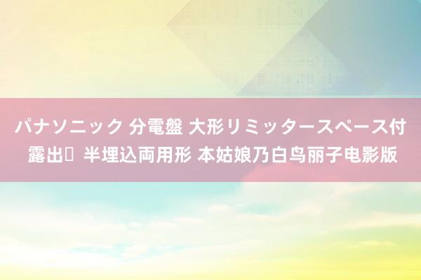 パナソニック 分電盤 大形リミッタースペース付 露出・半埋込両用形 本姑娘乃白鸟丽子电影版