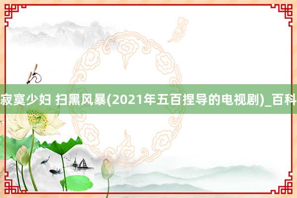 寂寞少妇 扫黑风暴(2021年五百捏导的电视剧)_百科