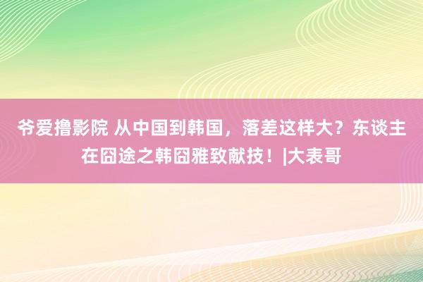 爷爱撸影院 从中国到韩国，落差这样大？东谈主在囧途之韩囧雅致献技！|大表哥