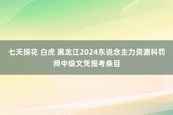 七天探花 白虎 黑龙江2024东说念主力资源科罚师中级文凭报考条目