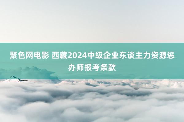 聚色网电影 西藏2024中级企业东谈主力资源惩办师报考条款